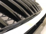Grille w/ Emblem